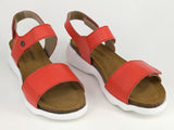 Aerobics Dresden available in 4 colours
