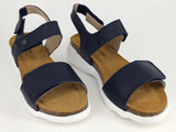 Aerobics Dresden available in 4 colours